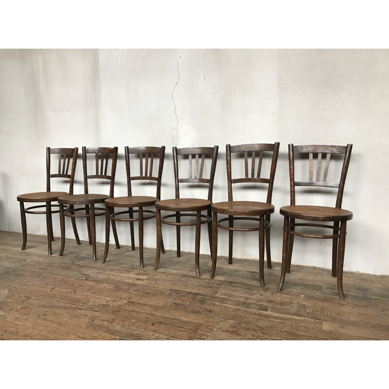 Série de 6 chaises de bistrot cannées bentwood dlg luterma - 1950