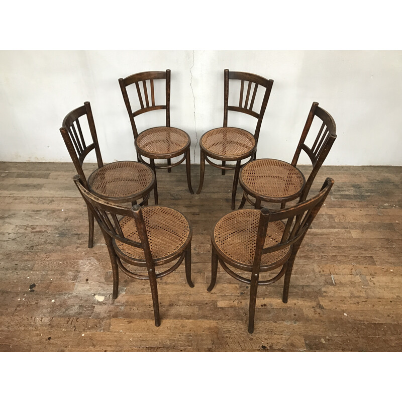 Série de 6 chaises de bistrot cannées bentwood dlg luterma - 1950