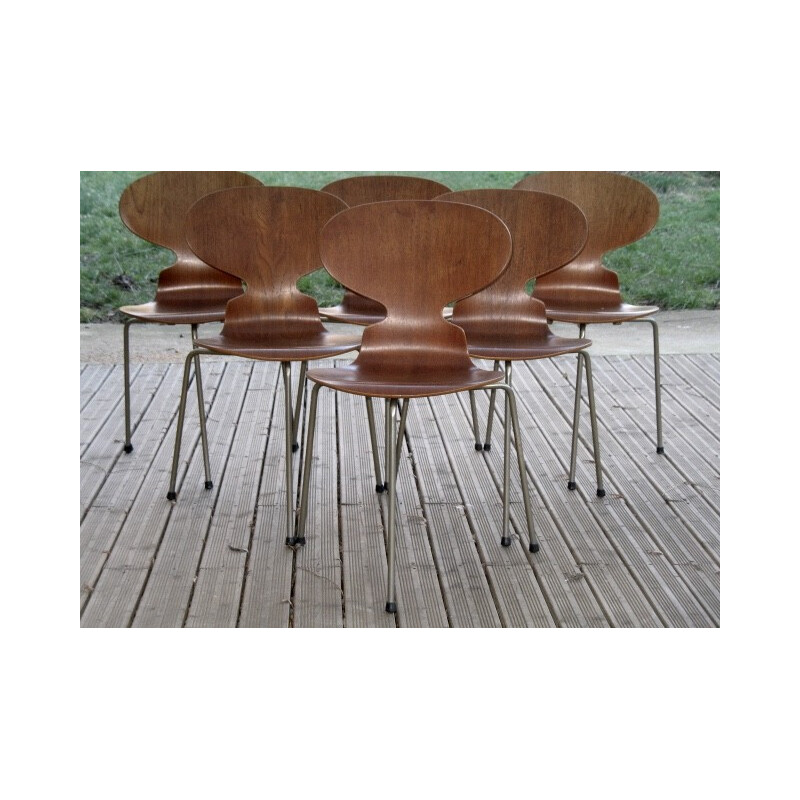 Set of 6 teak tripod chairs 3100 by Arne Jacobsen for Fritz Hansen - 1950s