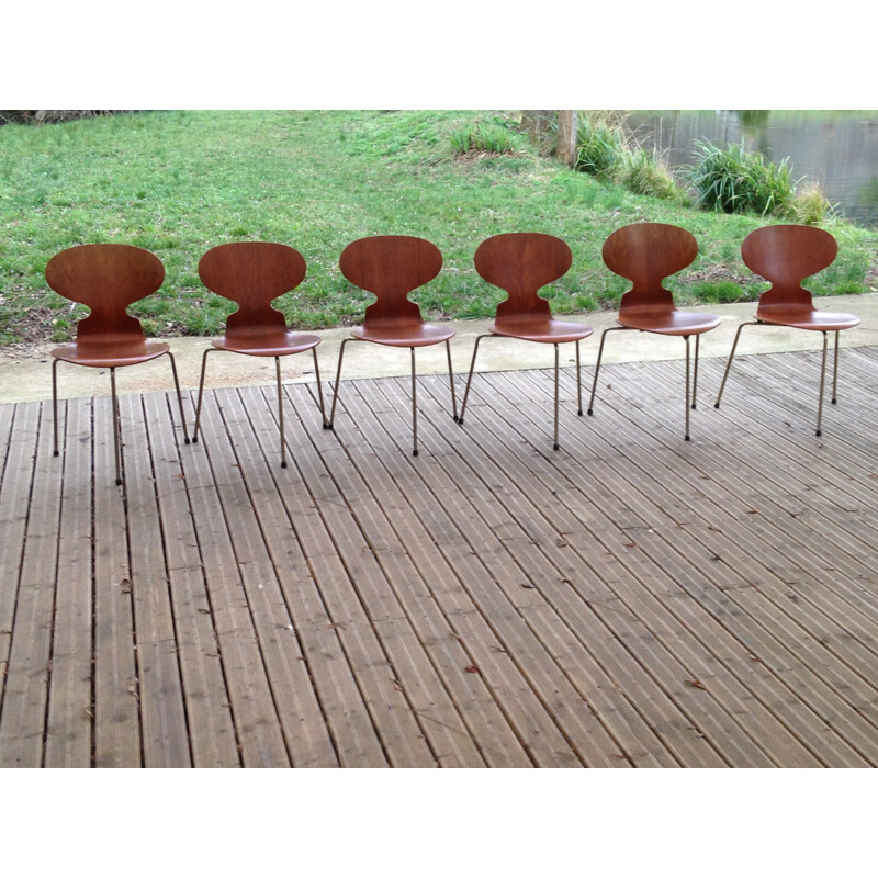 Suite de 6 chaises tripodes 3100 en teck par Arne Jacobsen pour Fritz Hansen - 1950