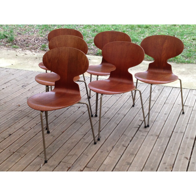 Set of 6 teak tripod chairs 3100 by Arne Jacobsen for Fritz Hansen - 1950s