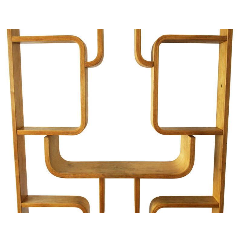 Vintage Wall Divider by Ludvik Volak for Drevopodnik Holesov - 1960s