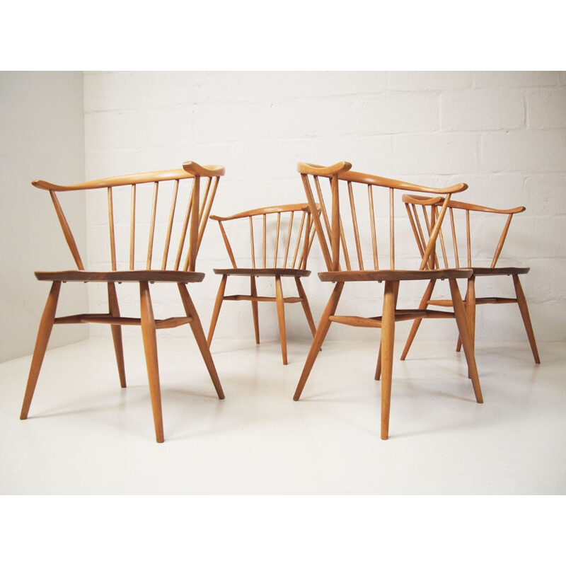 Set of four beech and English elm Cow horn chairs for Ercol - 1960s
