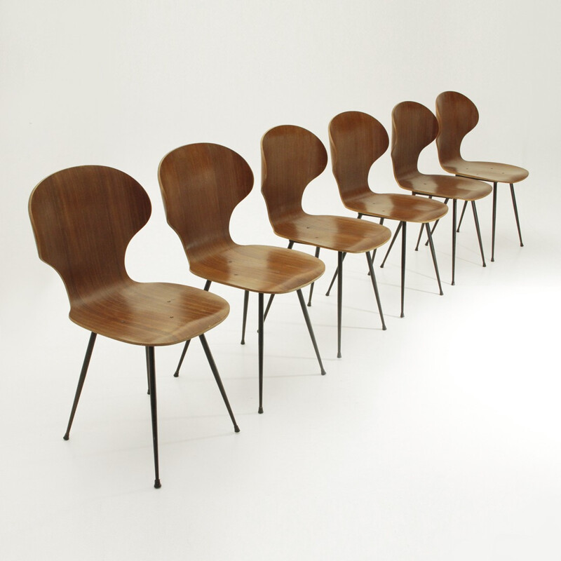 Suite de 6 chaises vintage de Carlo Ratti pour Industria Legni Curvati - 1950