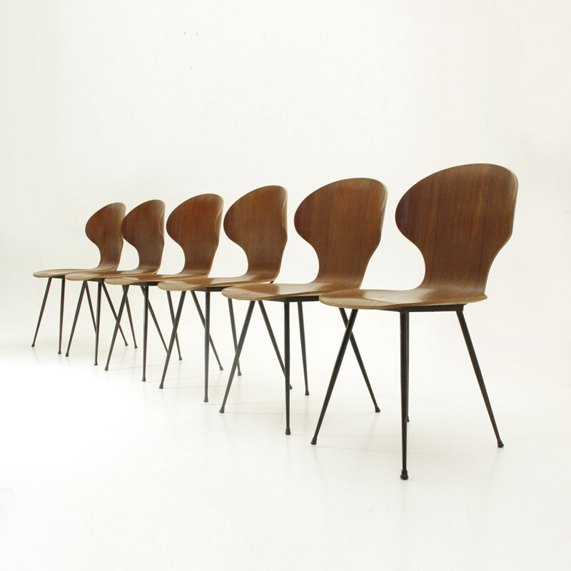 Set of 6 mid-century dining chairs by Carlo Ratti for Industria Legni Curvati - 1950s