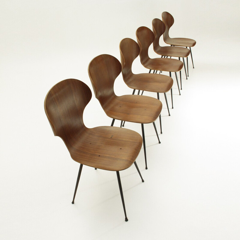 Suite de 6 chaises vintage de Carlo Ratti pour Industria Legni Curvati - 1950