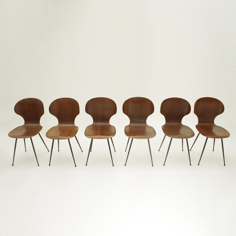 Suite de 6 chaises vintage de Carlo Ratti pour Industria Legni Curvati - 1950