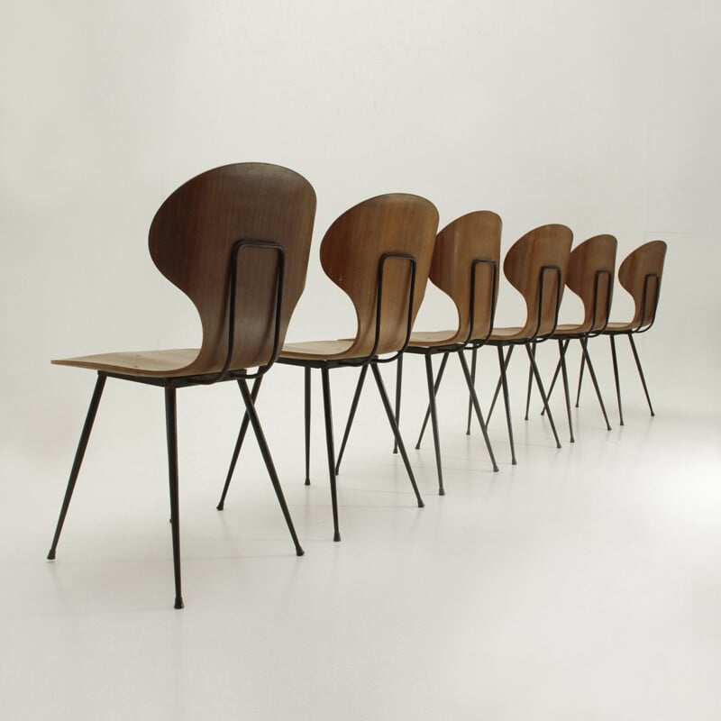 Set of 6 mid-century dining chairs by Carlo Ratti for Industria Legni Curvati - 1950s