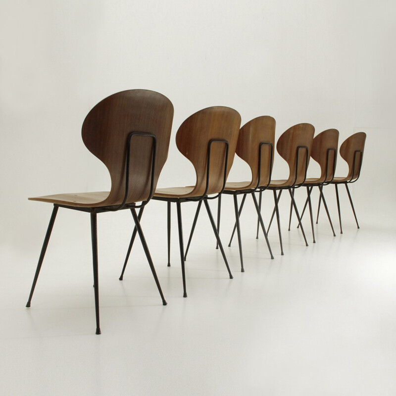 Set of 6 mid-century dining chairs by Carlo Ratti for Industria Legni Curvati - 1950s
