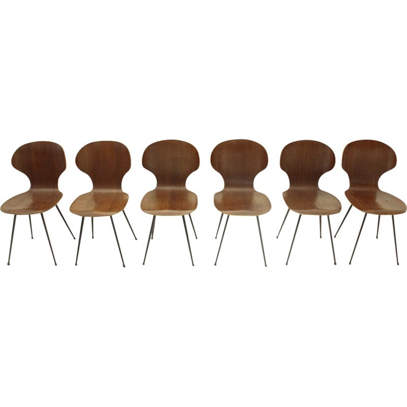 Set of 6 mid-century dining chairs by Carlo Ratti for Industria Legni Curvati - 1950s