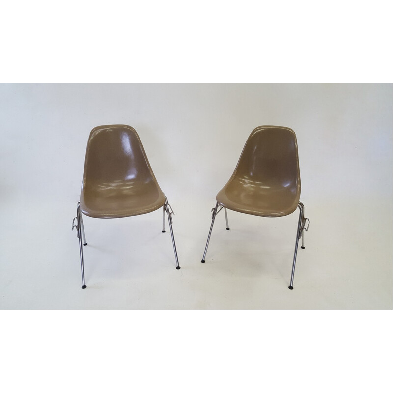 Vintage chair by Eames for Vitra model DSS greige - 1960s
