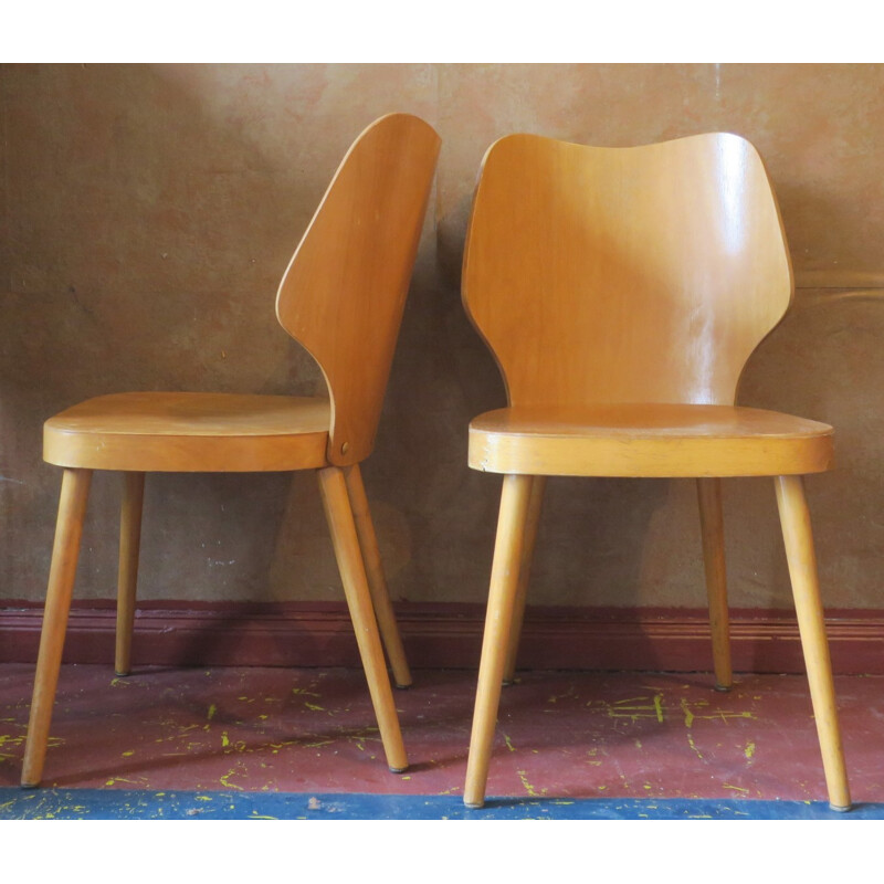 Vintage Scandinavian Plywood Chair with Splayed Legs and Curved Backs - 1950s 