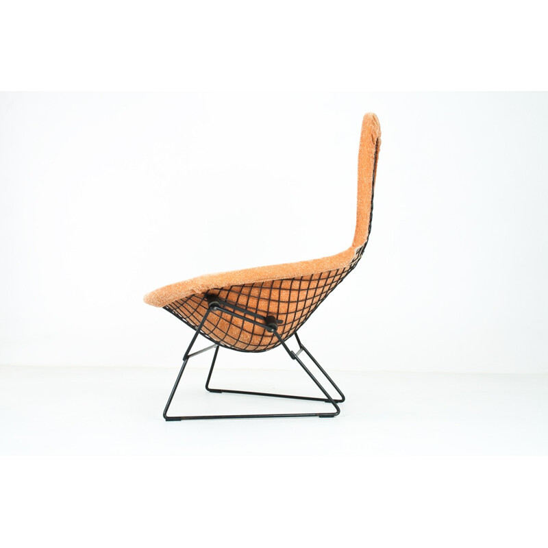 Armchair "Bird", Harry BERTOIA - 1950s