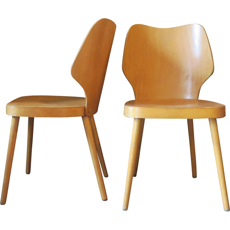 Vintage Scandinavian Plywood Chair with Splayed Legs and Curved Backs - 1950s 