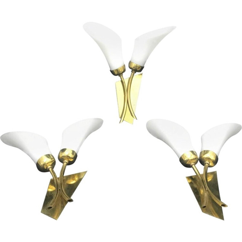 Mid-Century Modern Tulip Wall Sconces, Italy - 1950s