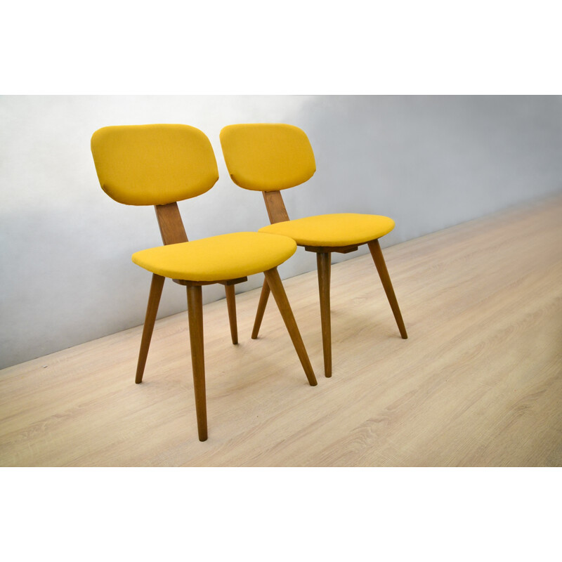 Set of 2 chairs from "Model 5827" by Fameg Radomsko - 1970s