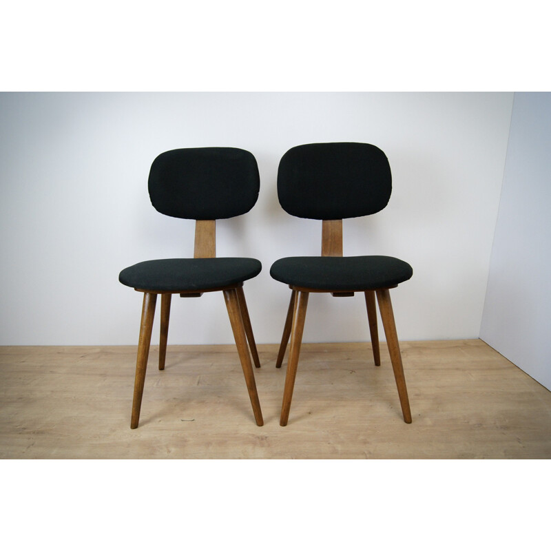 Vintage pair of 5827 Chairs by Fameg Radomsko - 1960s