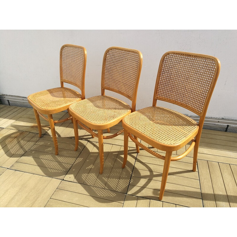 Lot de 5 chaises de Josef Hoffman pour Thonet - 1930