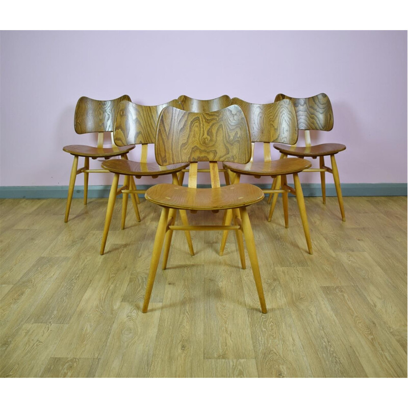 Set of 6 Vintage Ercol Elm Butterfly Dining Chairs - 1950s