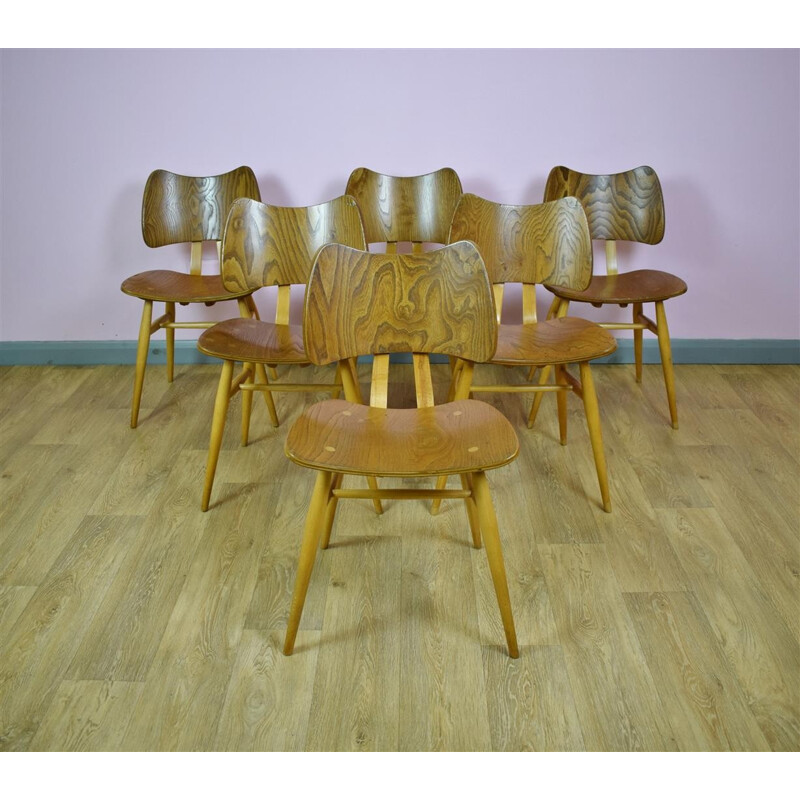 Suite de 6 chaises à repas vintages par Ercol Elm Butterfly - 1950