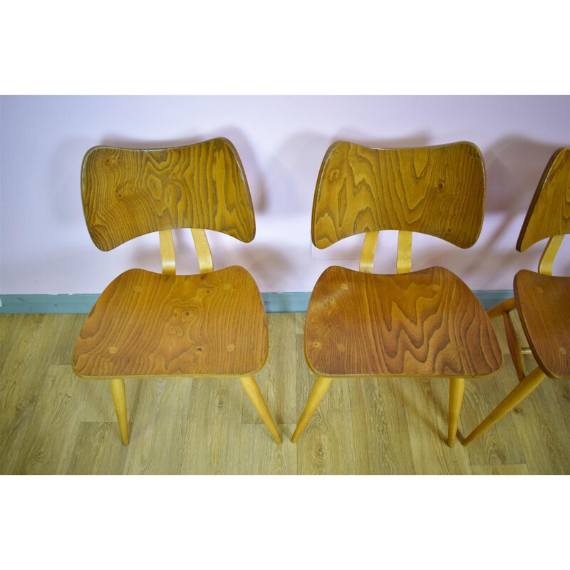 Suite de 6 chaises à repas vintages par Ercol Elm Butterfly - 1950