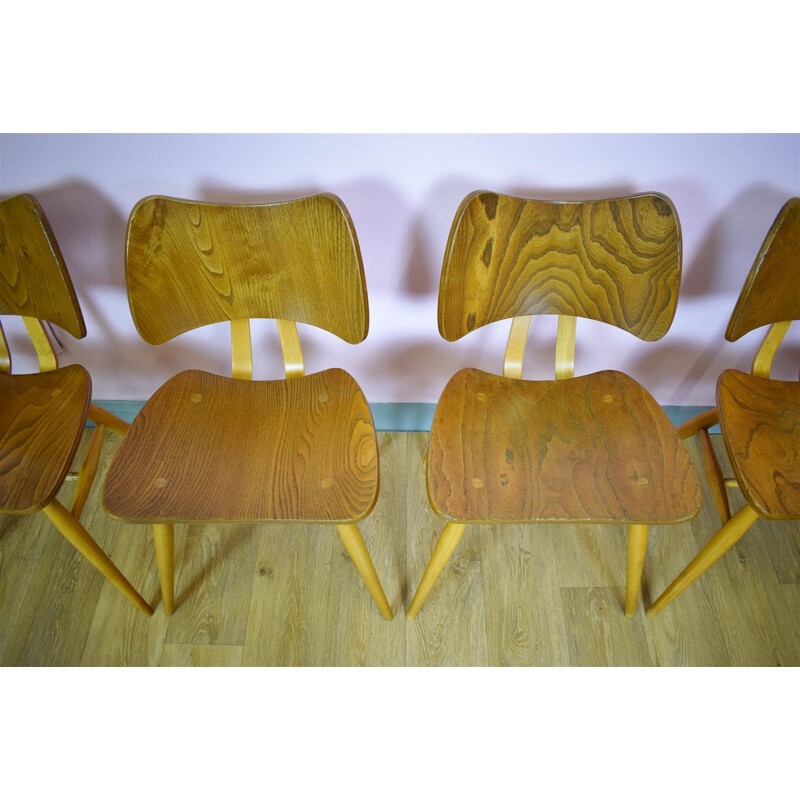 Suite de 6 chaises à repas vintages par Ercol Elm Butterfly - 1950