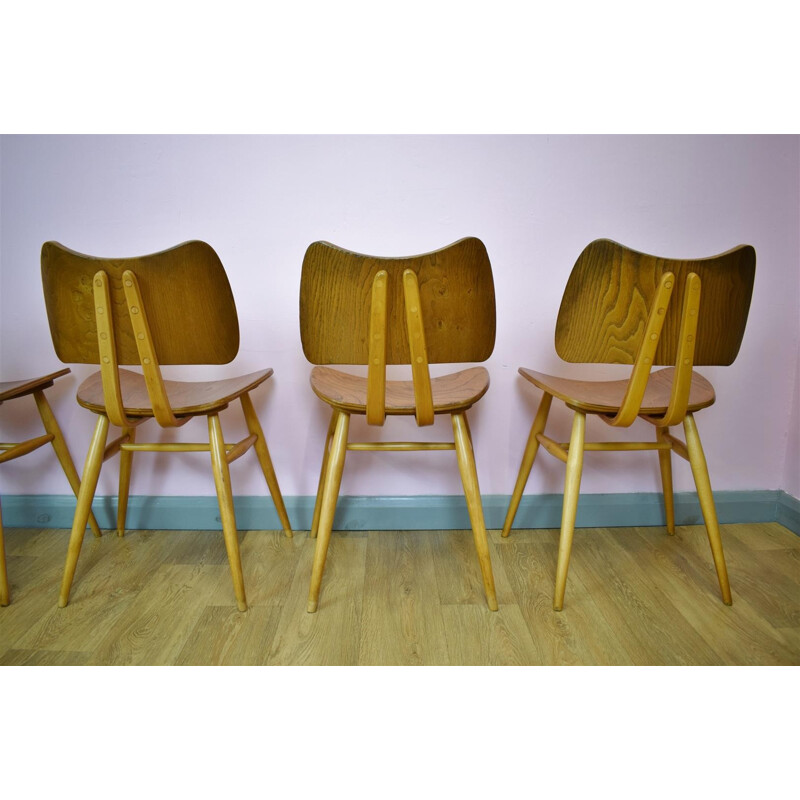 Suite de 6 chaises à repas vintages par Ercol Elm Butterfly - 1950