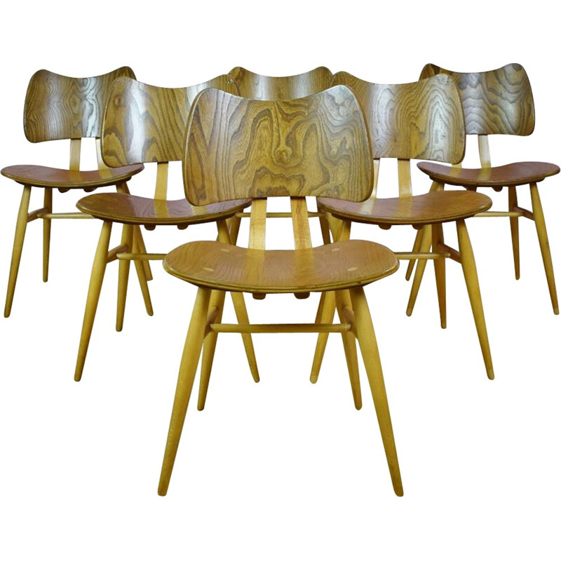 Suite de 6 chaises à repas vintages par Ercol Elm Butterfly - 1950