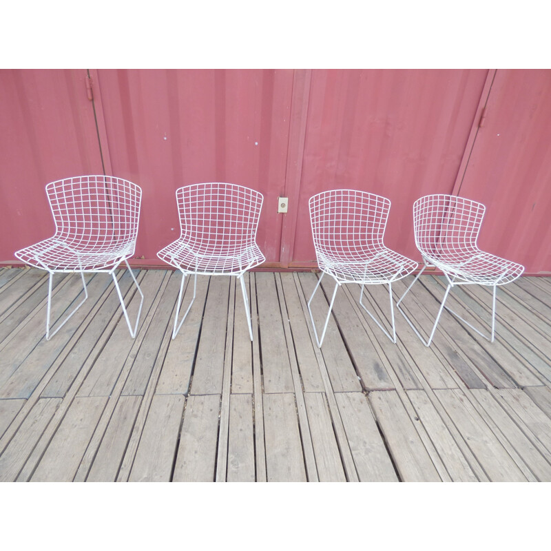 Suite de 4 chaises vintage de Harry Bertoia pour Knoll - 1960