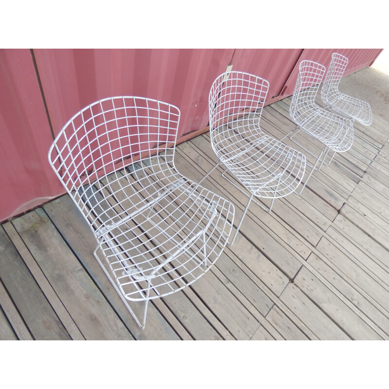 Set of 4 vintage chairs by Harry Bertoia for Knoll - 1960s