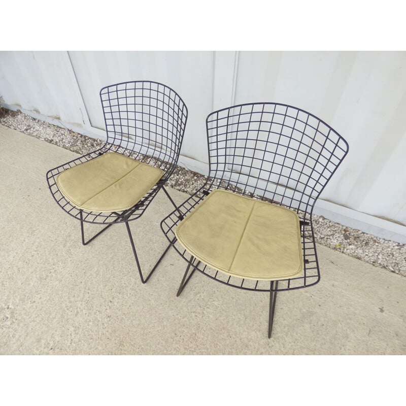 Pair of vintage chairs by Harry Bertoia for Knoll - 1960s