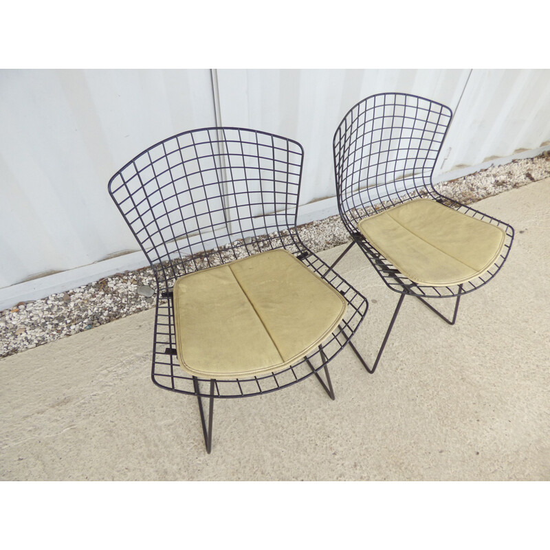 Pair of vintage chairs by Harry Bertoia for Knoll - 1960s