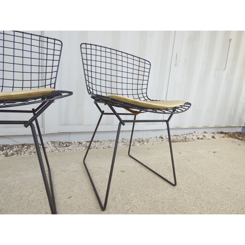 Pair of vintage chairs by Harry Bertoia for Knoll - 1960s