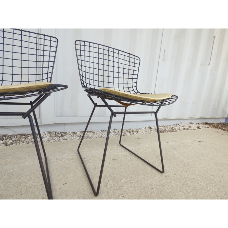 Paire de chaises vintage de Harry Bertoia pour Knoll - 1960