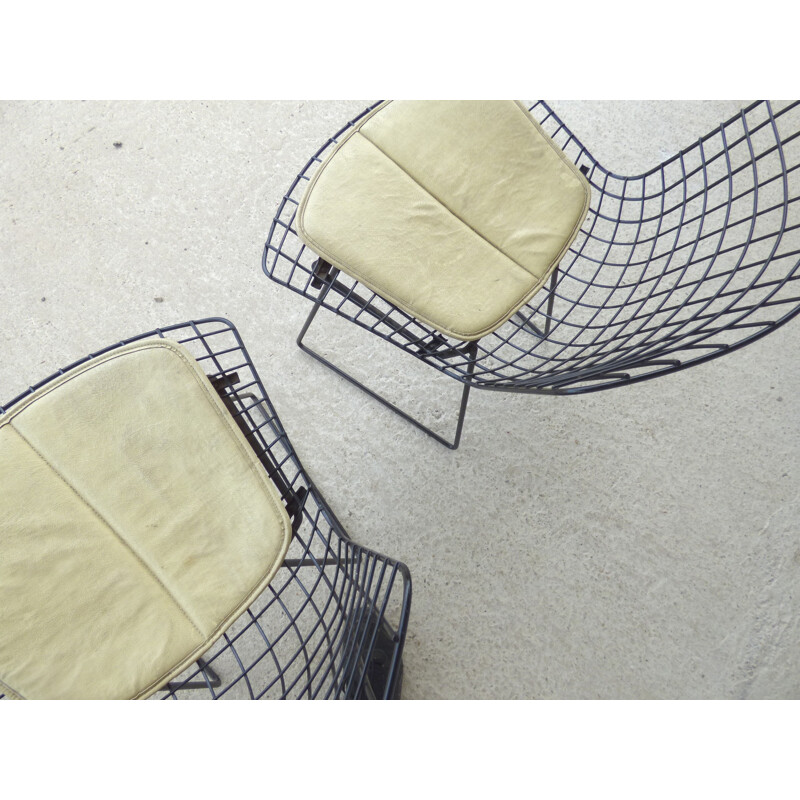 Pair of vintage chairs by Harry Bertoia for Knoll - 1960s