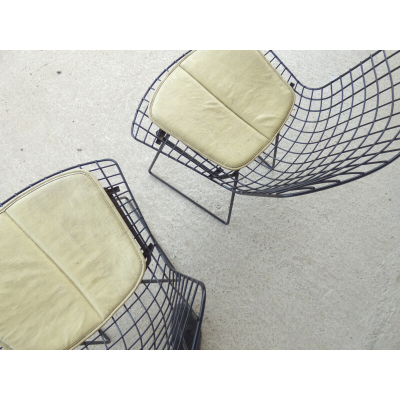 Paire de chaises vintage de Harry Bertoia pour Knoll - 1960
