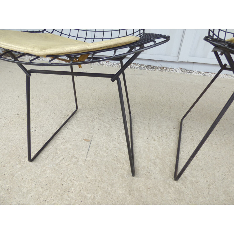 Pair of vintage chairs by Harry Bertoia for Knoll - 1960s
