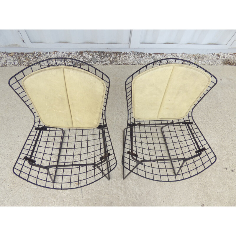 Pair of vintage chairs by Harry Bertoia for Knoll - 1960s