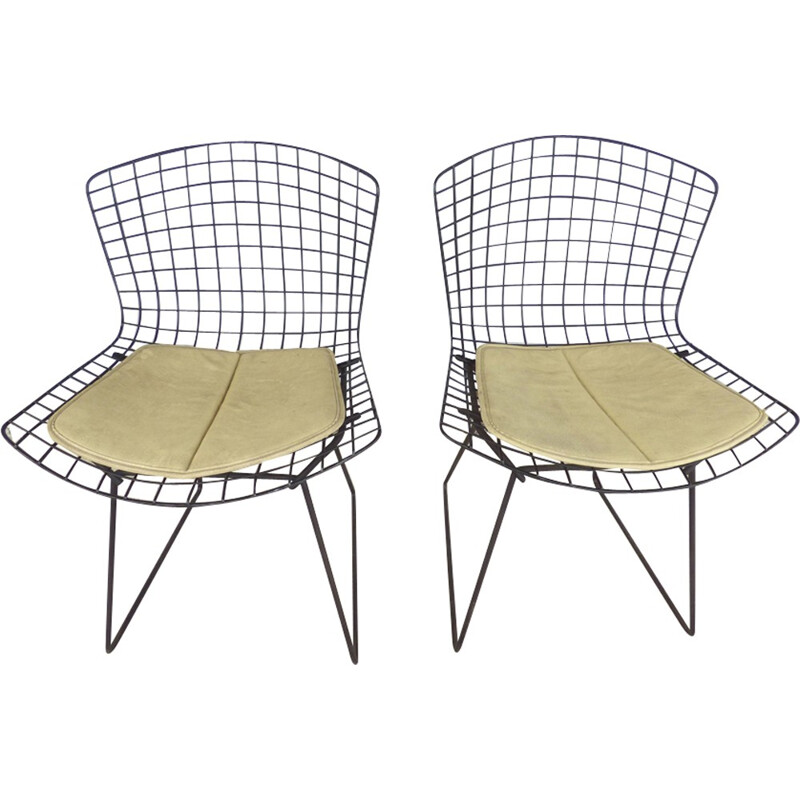 Pair of vintage chairs by Harry Bertoia for Knoll - 1960s