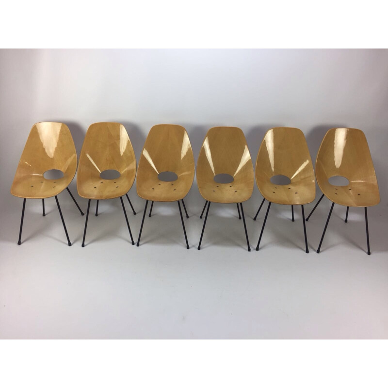 Set of 6 Vintage Medea Chairs by Vittorio Nobili for Fratelli Tagliabue -1956