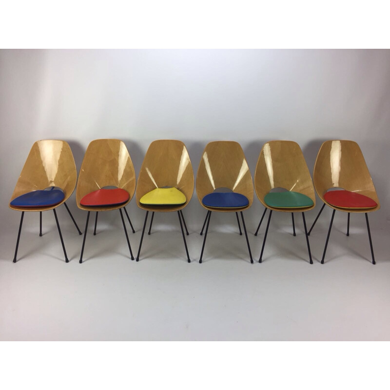 Set of 6 Vintage Medea Chairs by Vittorio Nobili for Fratelli Tagliabue -1956