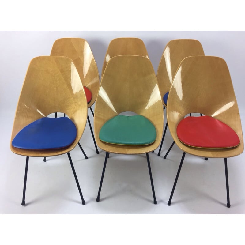 Set of 6 Vintage Medea Chairs by Vittorio Nobili for Fratelli Tagliabue -1956