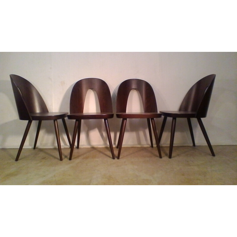 Suite de 4 chaises en hêtre par Antonín Šuman - 1960