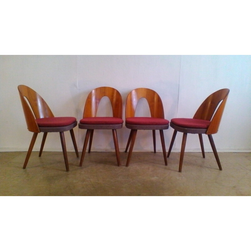 Suite de 4 chaises vintage en hêtre by Antonín Šuman - 1960