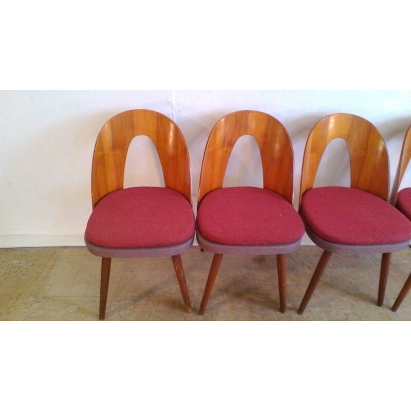 Suite de 4 chaises vintage en hêtre by Antonín Šuman - 1960