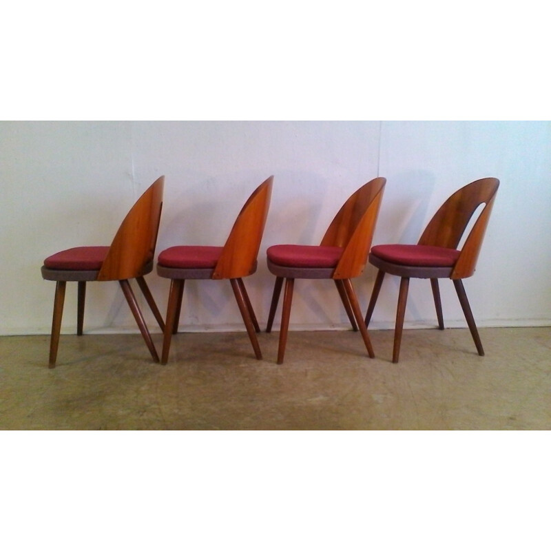 Suite de 4 chaises vintage en hêtre by Antonín Šuman - 1960