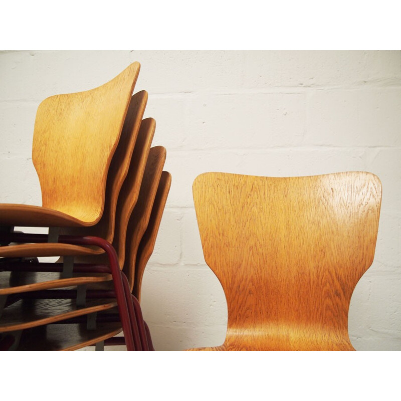 Set of 6 Vintage bent ply and steel stacking dining chairs - 1970s