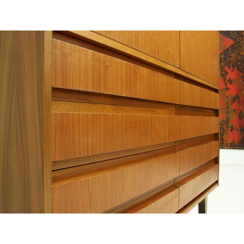 Vintage teak cupboard with 2 doors and 8 drawers - 1960s