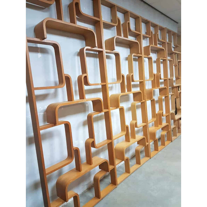 Vintage wall unit/room divider by Ludvik Volak for Drevopodnik Holesov - 1950s