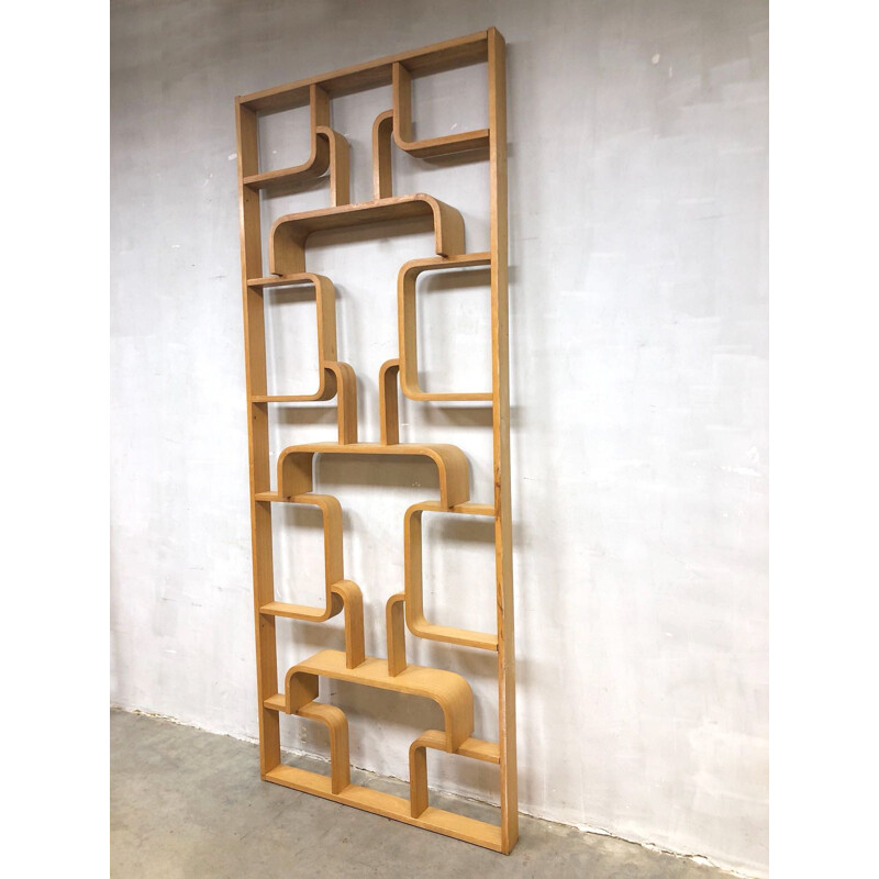 Vintage wall unit/room divider by Ludvik Volak for Drevopodnik Holesov - 1950s